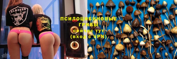 мяу мяу мука Майский
